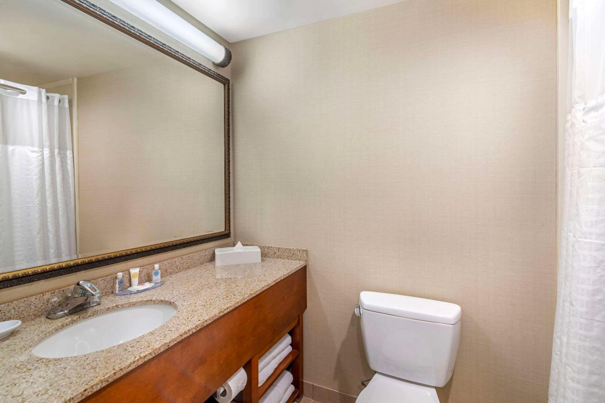 Comfort Inn & Suites Dover-Portsmouth Zewnętrze zdjęcie
